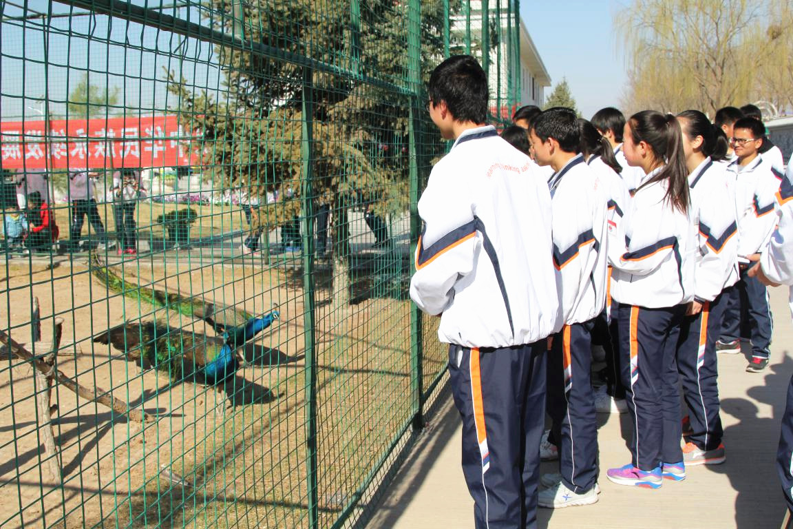 8_副本.jpg 8_副本.jpg