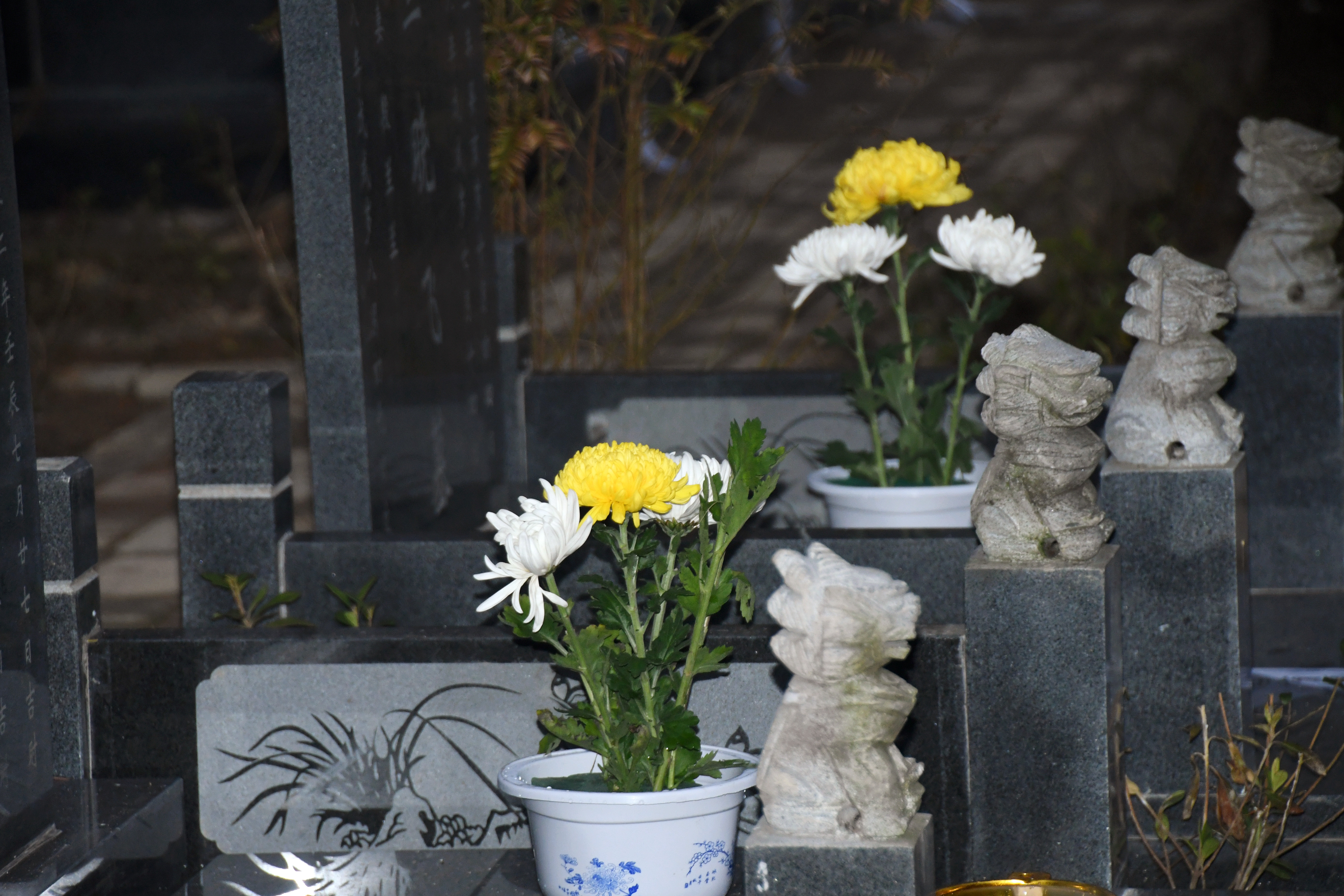 DSC_4359-wps图片.JPG