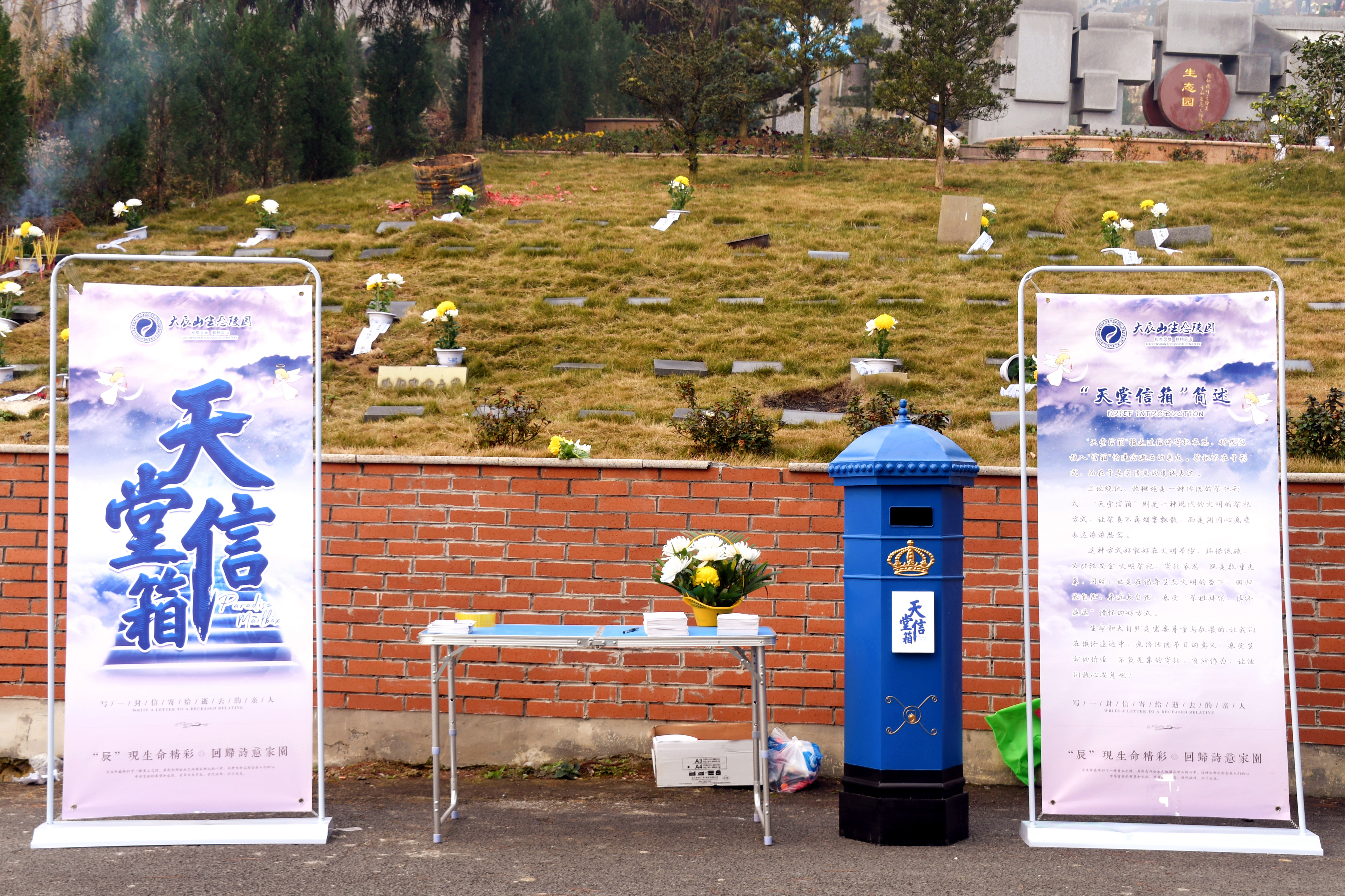 DSC_4399-wps图片.JPG