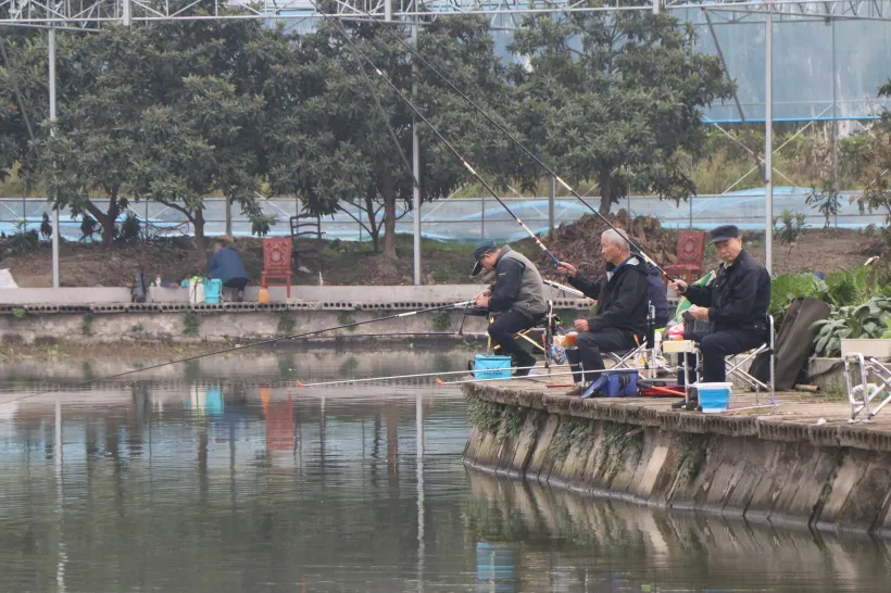 微信图片_20241115091348.png 微信图片_20241115091348.png