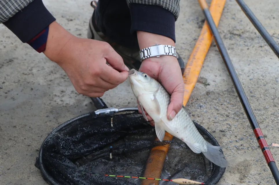 微信图片_20241115091649.png 微信图片_20241115091649.png