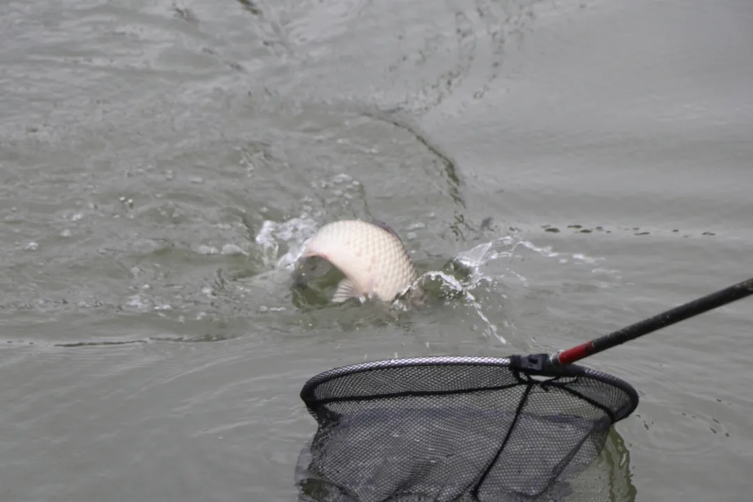 微信图片_20241115091655.png 微信图片_20241115091655.png